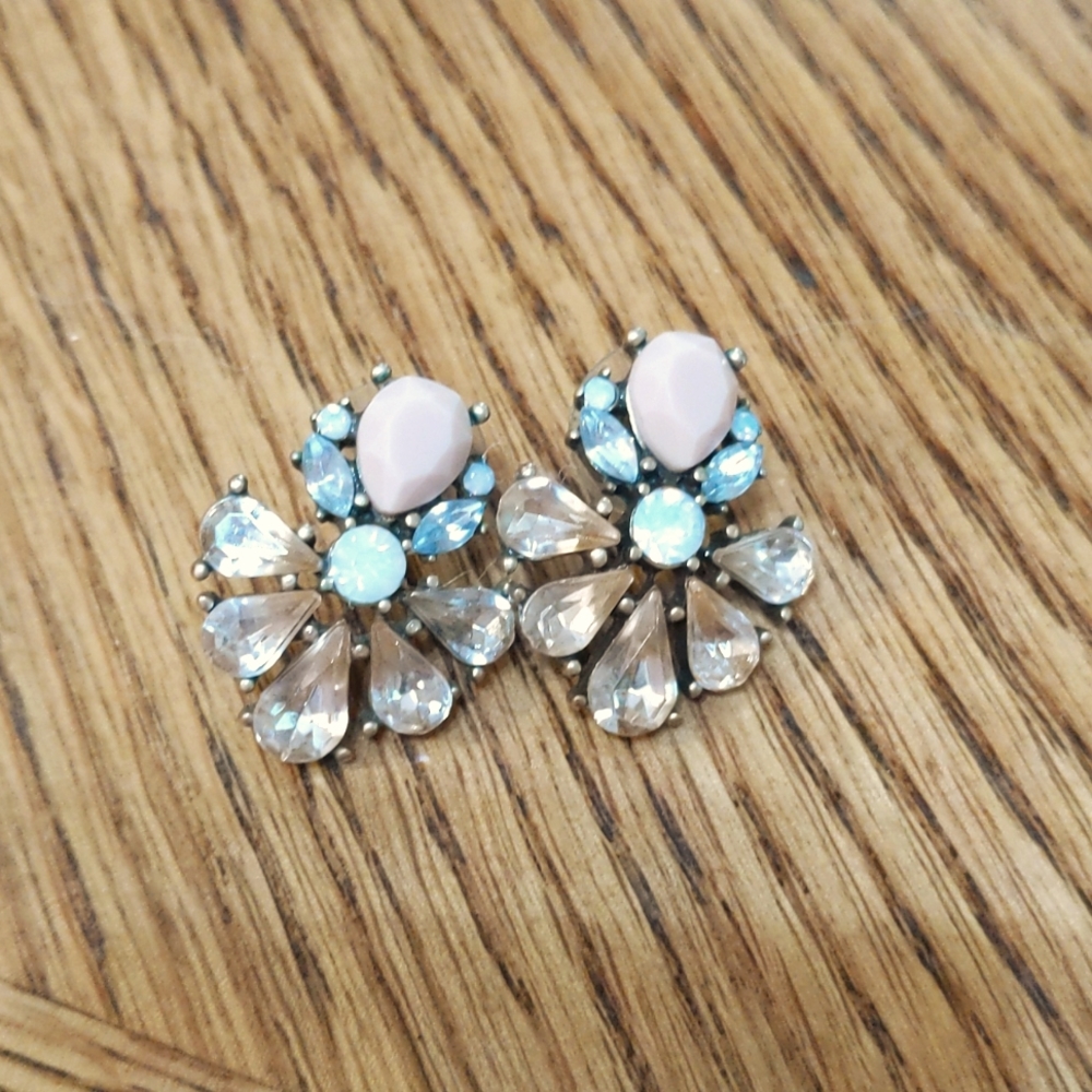Francesca's Statement Earrings